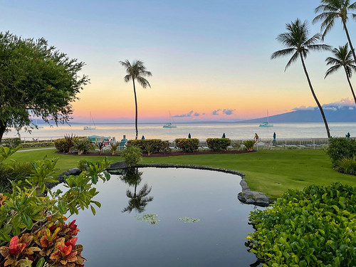 hawaii maui northamerica unitedstates vacation 20210828img8831 whalers koi pond sunrise ocean palm trees reflection dawn island garden green flowers kā‘anapali kaanapali