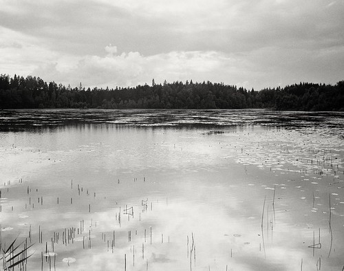 Schwedischer See. Fotografie Großformat 4x5 auf Adox 100 CHS II