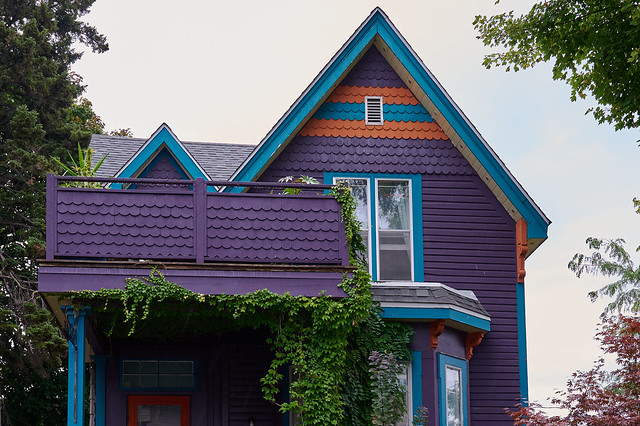 The Purple House