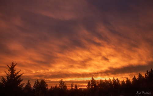 sunrise morning clouds trees landscape sunlight fiery outside bellevue washington wispy silhouette orange purple