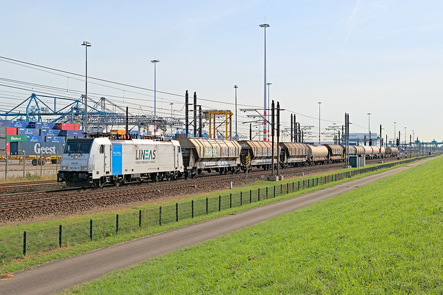 Lineas 186 294 - Rotterdam
