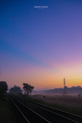 Early Morning at Batuwatta , Sri Lanka
