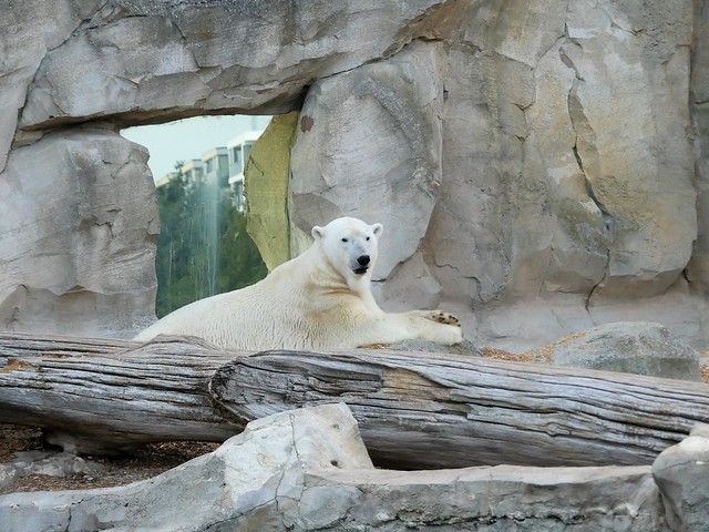 Zoo am Meer Bremerhaven