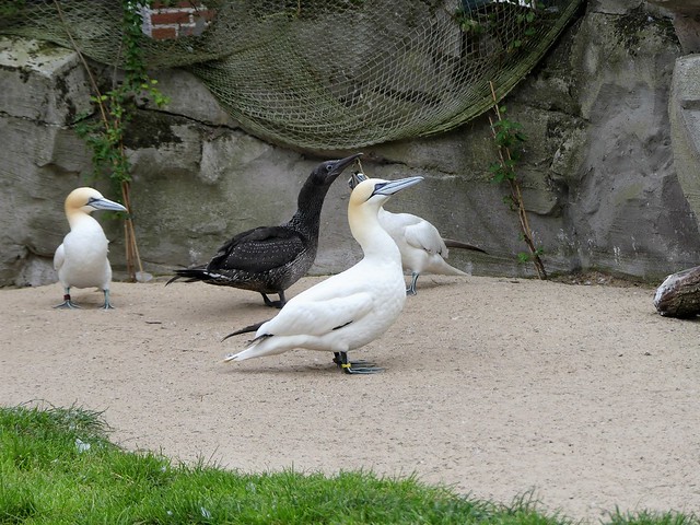 Zoo am Meer Bremerhaven