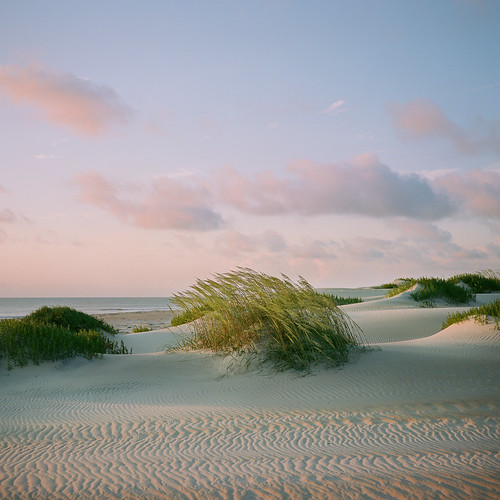 Sea Oats at Sunrise by PeterStout, Among the endless dunes at the north end of Pea Island in the Outer Banks of North Carolina is this