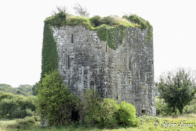 Galway, Ballymaquiff Castle