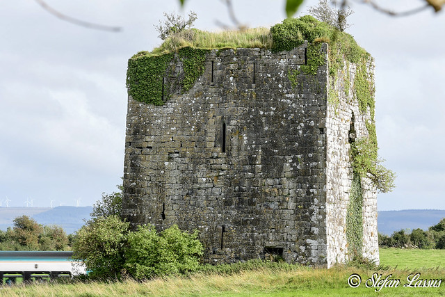 Ballymaquiff Castle, County Galway (with passing train)