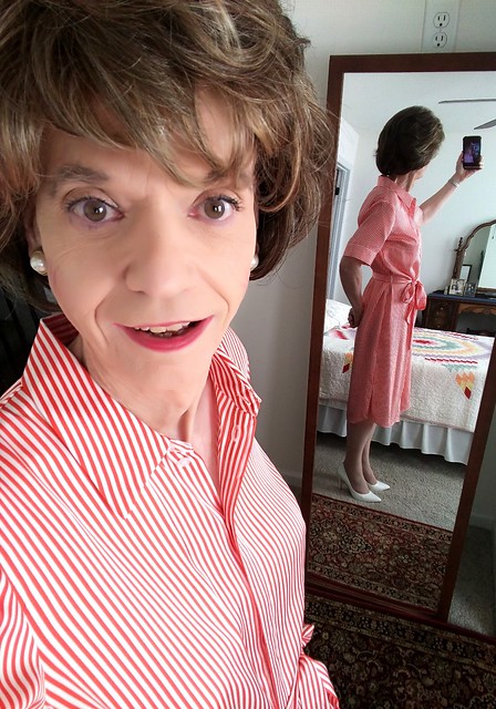 Long Candy-Stripe Shirt Dress (4 of 4) - Selfie with Mirrored Reflection