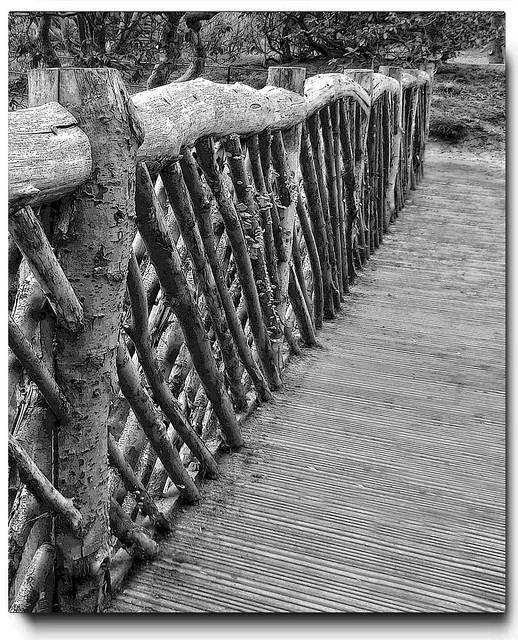 Rustic in Mono...........( view Large )