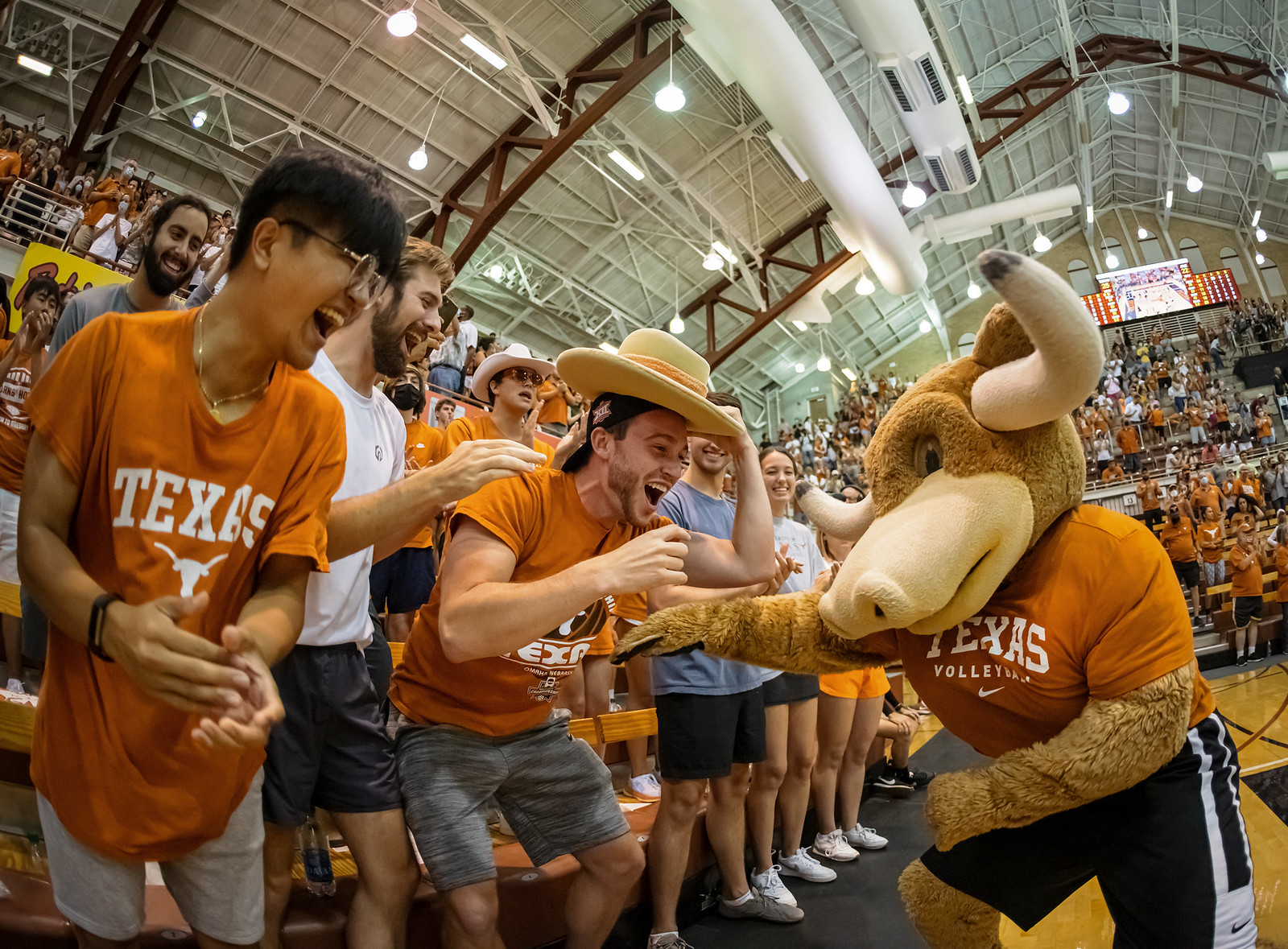 Texas Volleyball | Texas Review | Ralph Arvesen