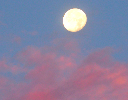 moon moonmadness moonlight montrealsuburbs montreal moonmoods moonshots moons moonlandscape harvestmoonsept2021 harvestmoon sky skies skyline skyscenes allskies awesomeskies sunrise earlymorning themoonrosyclouds earlymorningclouds