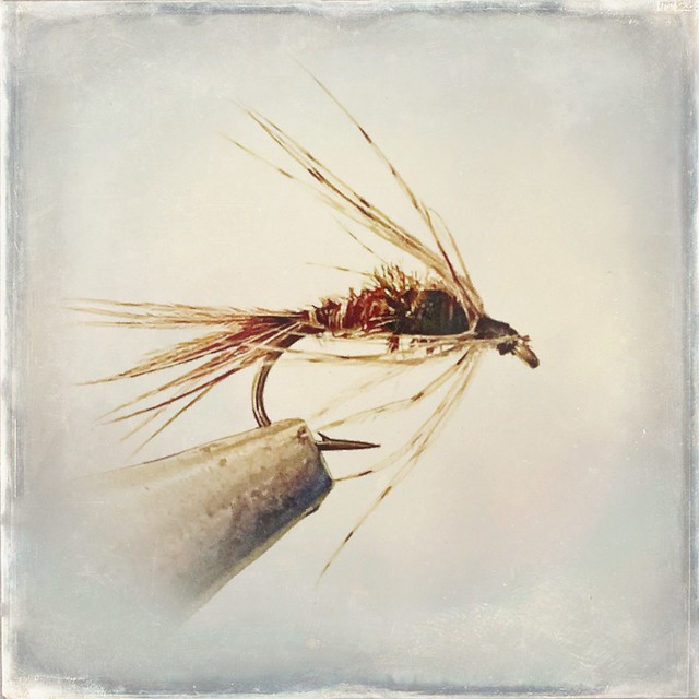 Kebari flies used in traditional Japanese fly fishing called tenkara. All images in this series shot and processed on iphone using a variety of apps. All flies tied by myself.