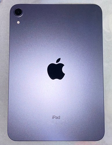 iPad mini 6 Purple