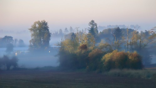 landscape tree trees field plowedfield farmbuilding fog foggymorning autumn autumncolour sunrise