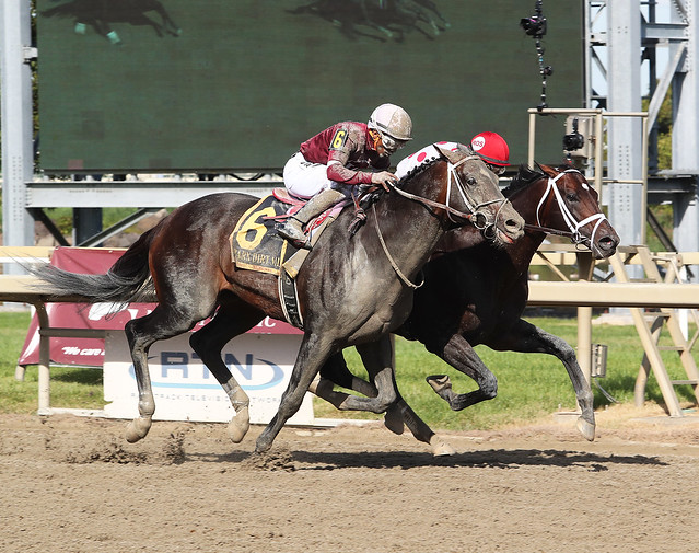 Mind Control (inside) won the Parx Dirt Mile over Silver State. Photo by Nikki Sherman/EQUI-PHOTO.