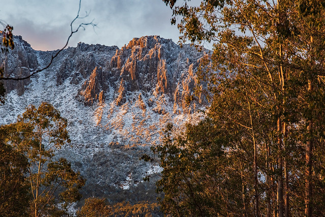 Devil's Gullet - World Heritage Area - Central Plateau - Tasmania