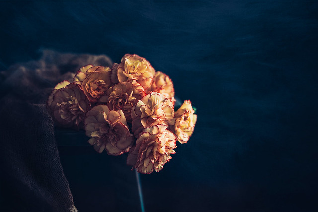 Dianthus bouquet