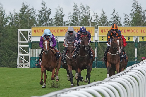 Frankella leads | by Arkle1