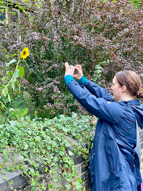 Lorna photographs her sunflower