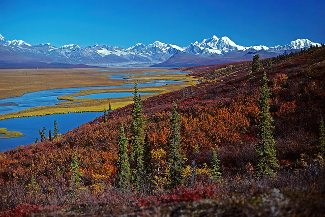 Fall Colors On The Upper Susitina River - Off The Denali Highway