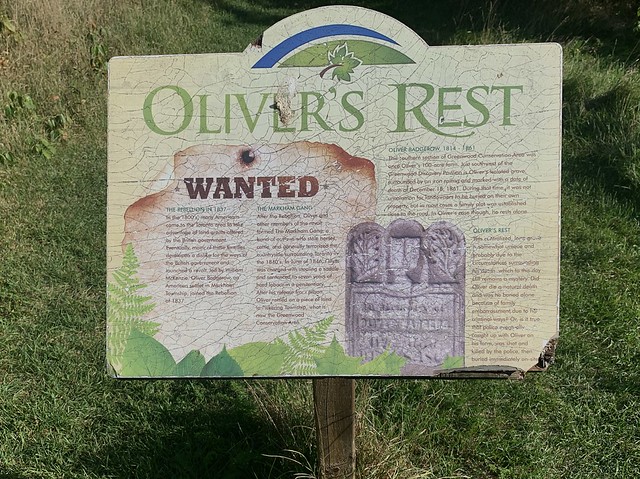 A information plaque about , Oliver’s Rest , at cemetery with single grave in Green wood conservation area , Martins photograph , Ajax , Ontario , Canada , September 20. 2021