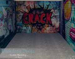 Backdrop Stylez - Grafitty Backdrop -