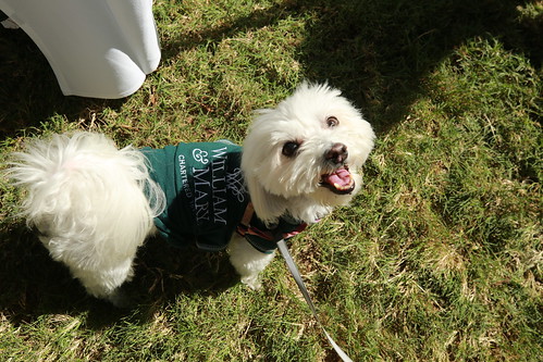 A furry family member was all smiles during Family Weekend.