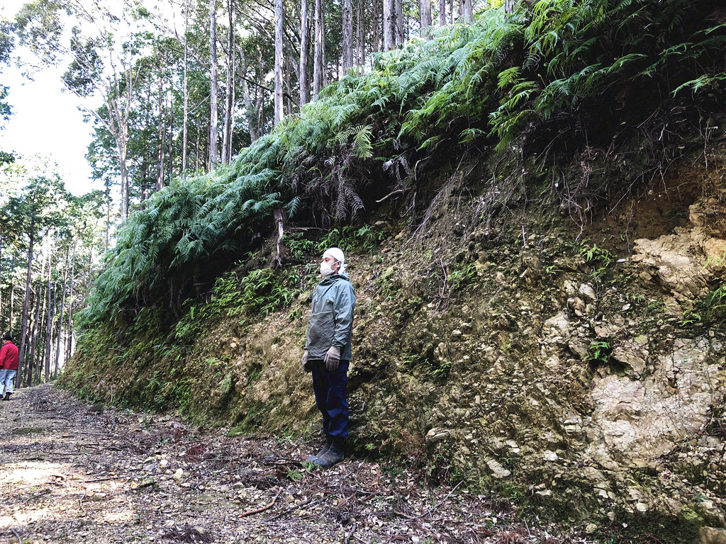 森林組合所挖設的作業道，邊坡約為3公尺。圖片提供：劉建志。