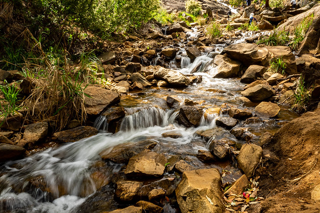 Little stream near Lesmurdie Falls