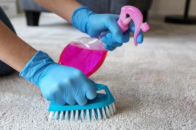 Our Carpet Cleaning Service Removes And Smells