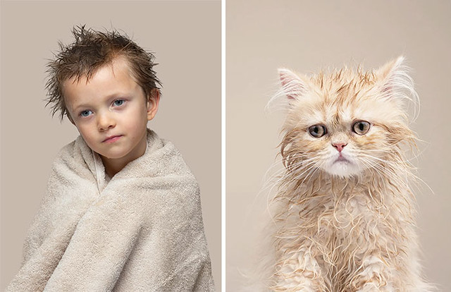 Funny Cat and Human Look Like