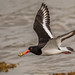 Oyster Catchers Fast Food