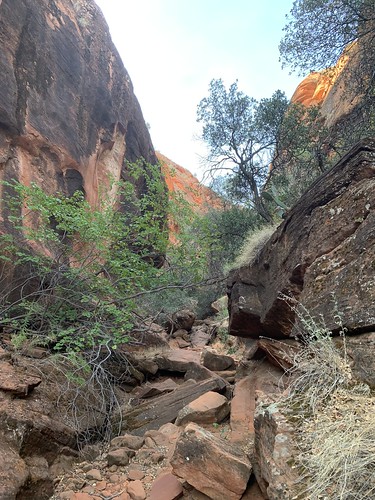 Red Reef Canyon