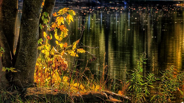 Autumnal Lake Scene #3874 (Explored 9/30/21)