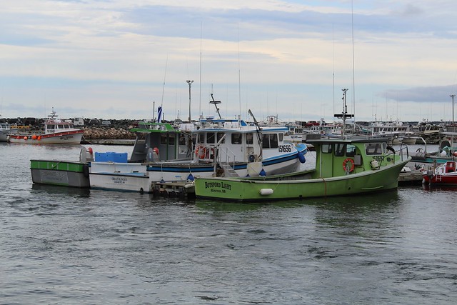 Boats at Miscou Harbour