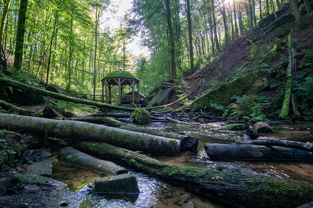 The wild and romantic Karlstal Gorge in the Palatinate Forest