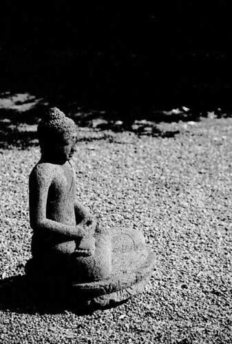 Buddha in the Gravel