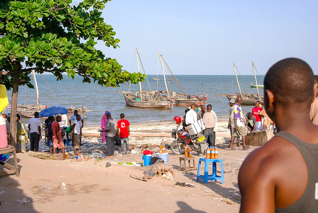 2013, Africa, Tanzania, Pwani region, Bogamoyo, Sea Fish market