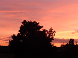 Sunset with a tree in silhouette, 2021 Sep 21