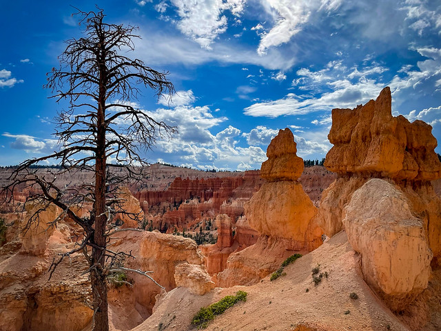 Photos from my trip to Bryce Canyon National Park on 9/27/21. I hiked the Queen's Garden and Navajo loop. The storms that were coming through provided some nice contrast (as well as a little drizzle). While Zion is nice, the colors of Bryce Canyon blew me away.