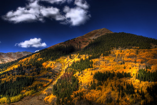 best colorado foliage gold mountain wow color landscape nature fall autumn aspen trees blue sky clouds travel photo image picture photography