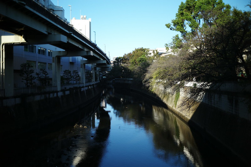 02Leica M9 P+Light lens lab M 35mm f2 周八枚 関口一丁目江戸川橋から臨む神田川