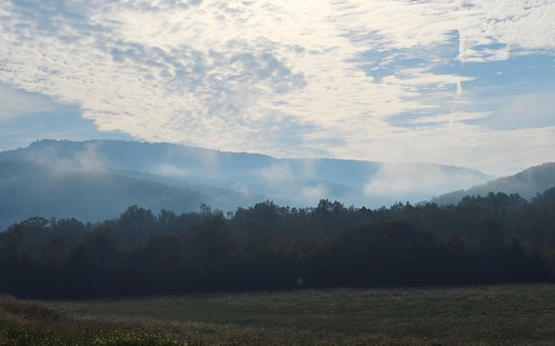 Foggy Hills