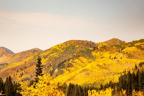 fall 7 | by A&DExpressivephotography