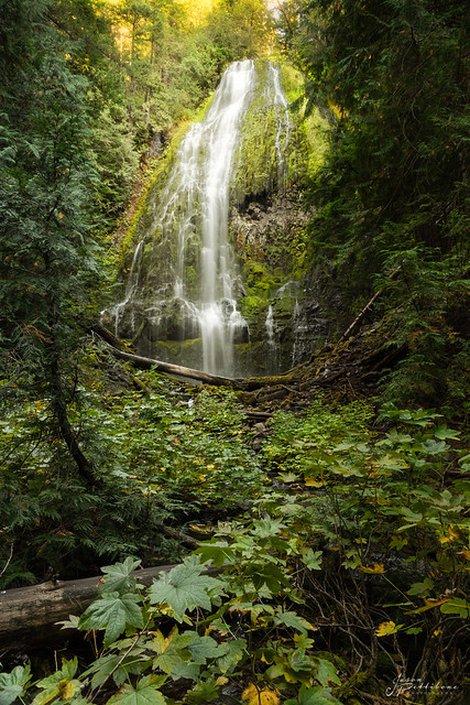 Proxy Falls, Oregon - Fall 2021