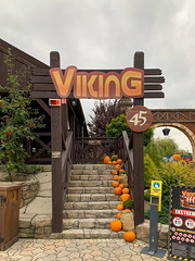 Photo 1 of 2 in the Viking Roller Coaster gallery