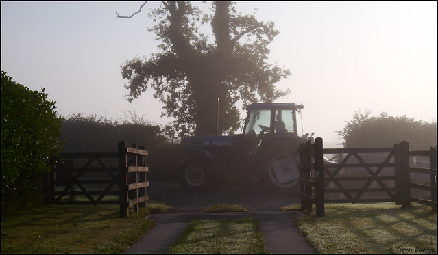 Tractor in the Mist P1070687