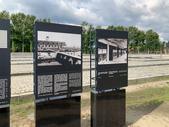 Photo 10 of 25 in the Day 3 - Auschwitz I, Auschwitz II: Birkenau and Krakow Rynek Glowny gallery