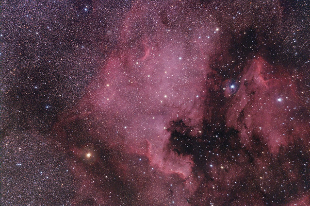 NGC 7000, North America Nebula, Cyg