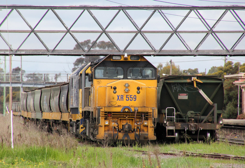 XR559 and 8162 are stabled with their loaded grain wagons over 2 sidings in Dimboola